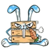 Box Bunny 15