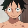MONKEY D LUFFY 19