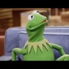 Kermit la rana 16
