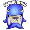 DAMHODLING