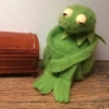 Kermit la rana 17