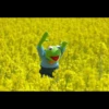 Kermit la rana 19