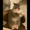 Him