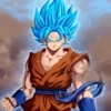 Dragonball 13