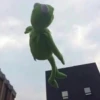 Kermit la rana 20