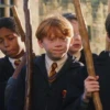 Harry Potter 13