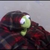 Kermit la rana 23