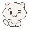 ( 3