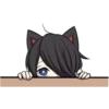 KittenBlackTop 21