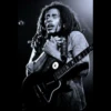 Bob marley 17