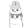 Machiko Rabbit 25