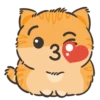 Ruper 3 (16