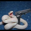 AniMaLs 24