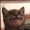 AniMaLs 26