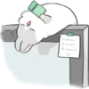 Machiko Rabbit 26