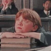 Harry Potter 15