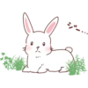 Fox and Rabbits 27