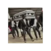 Dancing Coffin 29