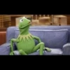 Kermit la rana 27