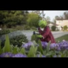 Kermit la rana 28