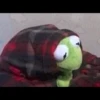 Kermit la rana 29