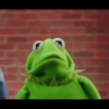 Kermit la rana 30