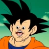 Dragonball 20
