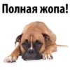 Полная жопа!
В
(
