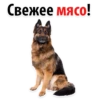 Свежее мясо!