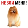 НЕ ЗЛИ МЕНЯ!