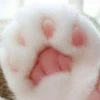 mpus nya 6