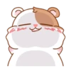 hamshi's routine 9