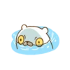 Hungry Bear 14