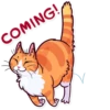 Meme Cats 9
