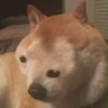 uwu 10