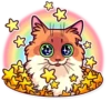 Meme Cats 13