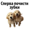 Сперва почисти
зубки