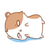hamshi's routine 14
