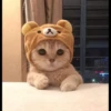mpus nya 14