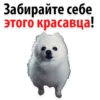 Забирайте себе
этого красавца!