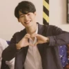 win metawin 16