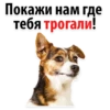 Покажи нам где
тебя трогали!