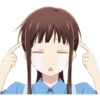 Fruits basket 16