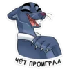 johnny_vk 16