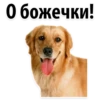 О божечки!