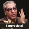 masoud 14