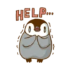 Hungry Bear 24