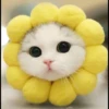 mpus nya 18