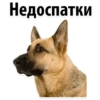 Недоспатки