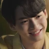 win metawin 18